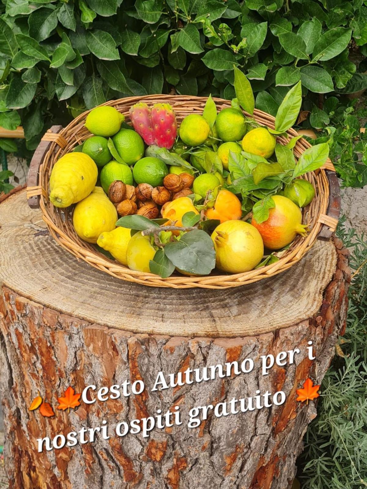 B&B Casa Vacanza Cioffi Вико-Экуенсе Экстерьер фото