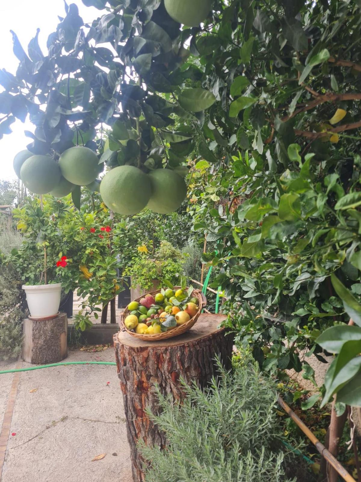 B&B Casa Vacanza Cioffi Вико-Экуенсе Экстерьер фото