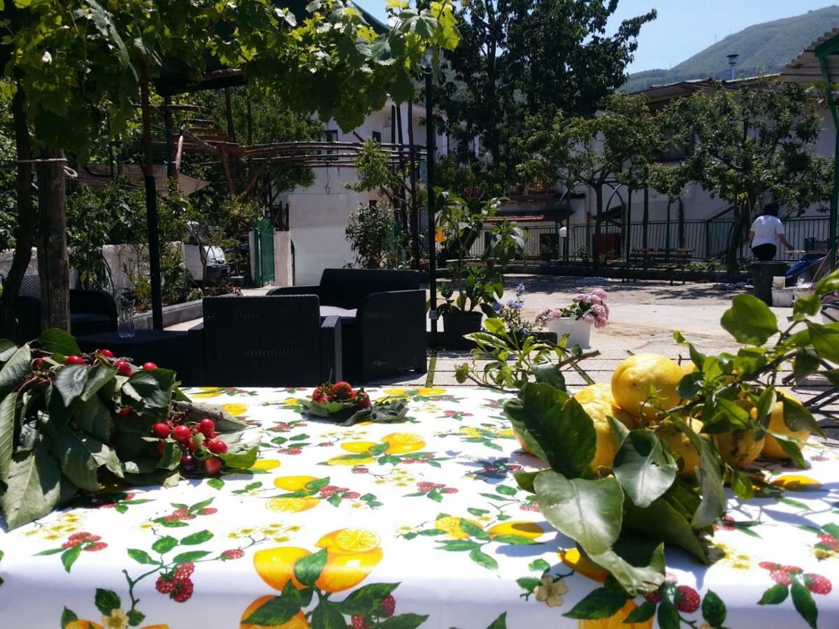B&B Casa Vacanza Cioffi Вико-Экуенсе Экстерьер фото