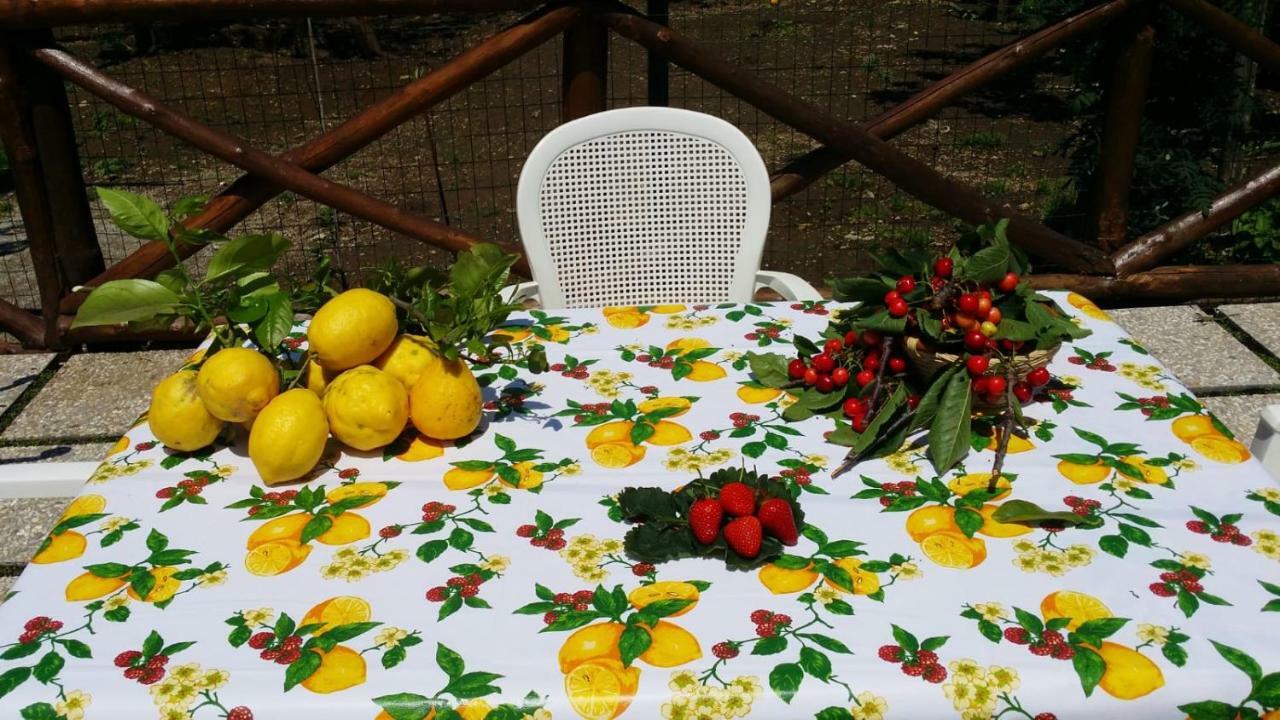 B&B Casa Vacanza Cioffi Вико-Экуенсе Экстерьер фото